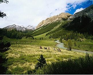 化身神医游走乱世《浮生游歌》定档3月4日正式发售
